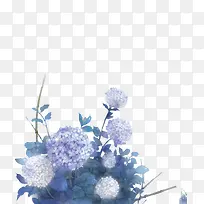 蓝花蓝色花朵彩绘