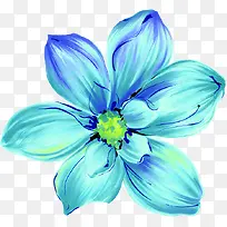 蓝色花朵贵宾卡图片