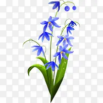 蓝色花朵唯美植物