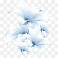 梦幻蓝色花朵高清