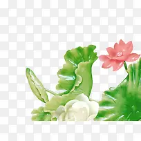 玉荷花