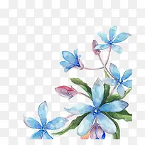 手绘蓝色清新花朵装饰