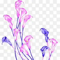 粉蓝色手绘花朵海报