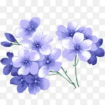 蓝色唯美水彩花朵