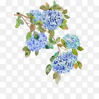 彩绘蓝色花朵