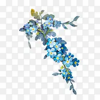 蓝色花朵植物唯美