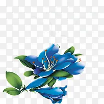 蓝色花朵艳丽淘宝