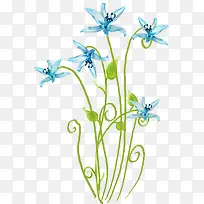 蓝色花朵绿叶图片