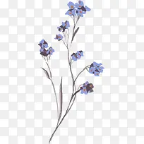 创意水彩合成蓝色的花朵效果