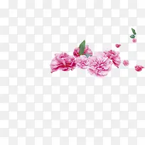 高清粉色花朵教师节