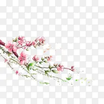 手绘桃花
