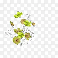 素描花朵