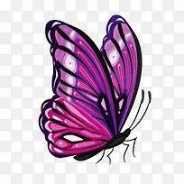 紫色手绘蝴蝶