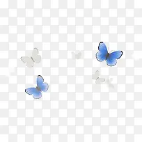 手绘蓝色蝴蝶