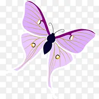 紫色手绘精美蝴蝶