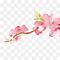 红色花朵手绘红色花朵蝴蝶花枝