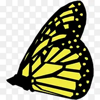 黄色精美手绘蝴蝶设计