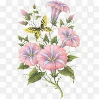 手绘牵牛花蝴蝶