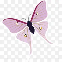 紫色手绘可爱蝴蝶
