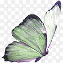 绿色艺术手绘蝴蝶