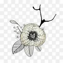 手绘线描花卉