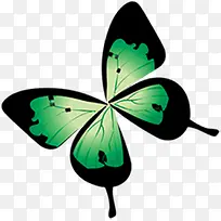 创意手绘质感绿色的花蝴蝶