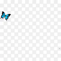 手绘蓝色蝴蝶清明图片