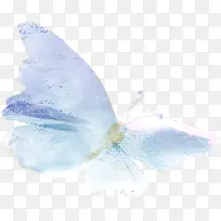 手绘蓝色水彩蝴蝶