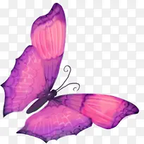手绘紫色纹理蝴蝶