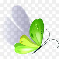 绿色创意手绘蝴蝶