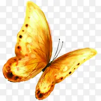 创意手绘水彩黄色的蝴蝶