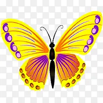 黄紫色纹理手绘蝴蝶