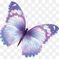 紫色水彩手绘蝴蝶
