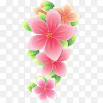 粉色花朵装饰植物