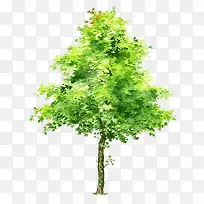 树木素材绿色树木素材  水彩树木