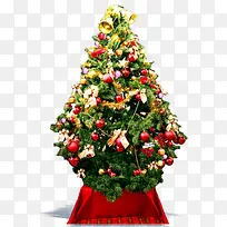 节日圣诞欢乐树木