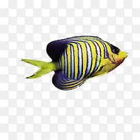 海底世界