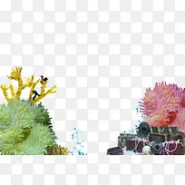 珊瑚珊瑚草宝物水泡