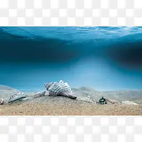 海底世界海鲜生物