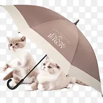雨伞猫咪