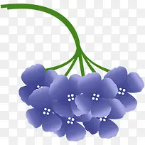 卡通紫色植物花朵