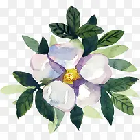 手绘花卉花型设计