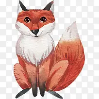 水彩手绘狐狸
