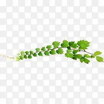 创意手绘合成绿色的树叶植物