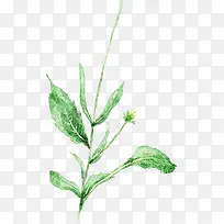 创意手绘水彩绿色的植物树叶