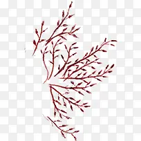 手绘红色水彩树叶