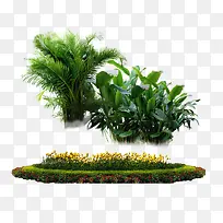 绿色植物