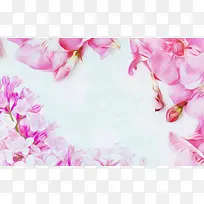 粉色梦幻花朵海报
