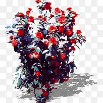 红色梦幻花朵植物装饰