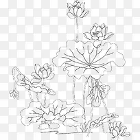 手绘荷花房地产海报